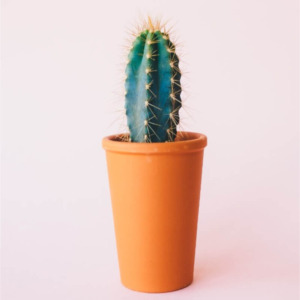 Ceramic Garden Pots